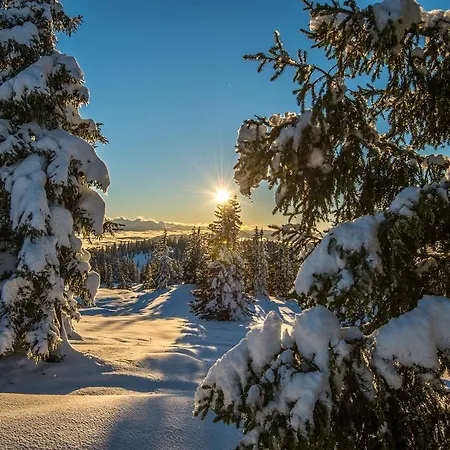 Haus Krismer 公寓 *