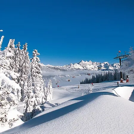 Haus Krismer 公寓 *