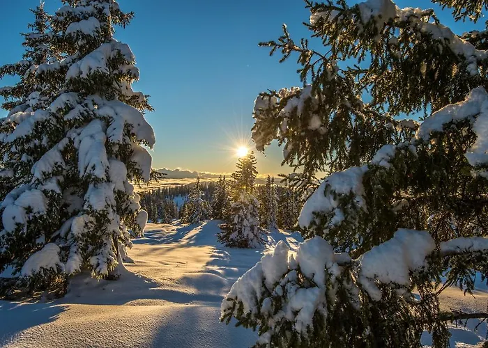 Haus Krismer Apartamento *